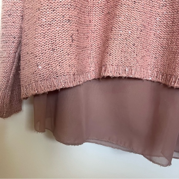 Papillon Knit Sweater with Sheer Layer - Picture 5 of 8